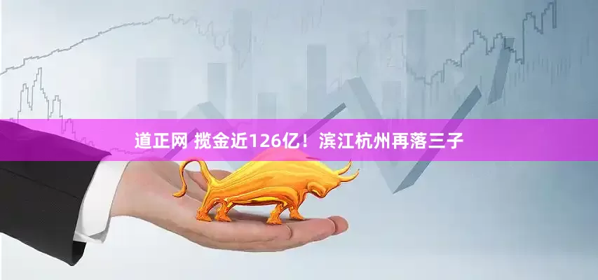 道正网 揽金近126亿！滨江杭州再落三子