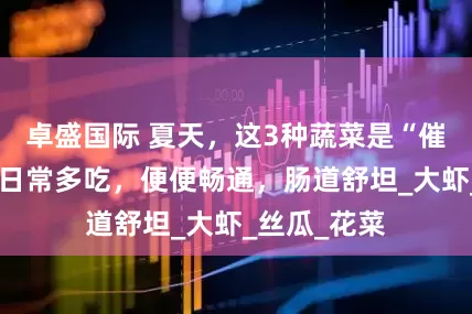 卓盛国际 夏天，这3种蔬菜是“催屎之王”，日常多吃，便便畅通，肠道舒坦_大虾_丝瓜_花菜