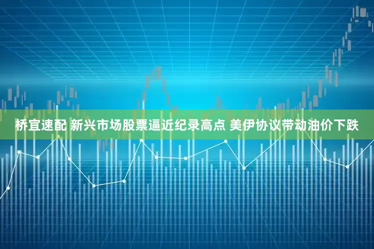 桥宜速配 新兴市场股票逼近纪录高点 美伊协议带动油价下跌