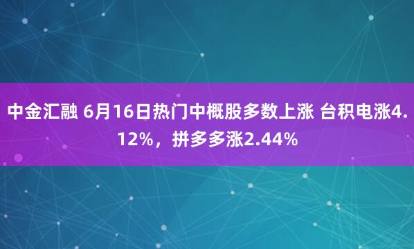 中金汇融 6月16日热门中概股多数上涨 台积电涨4.12%，拼多多涨2.44%